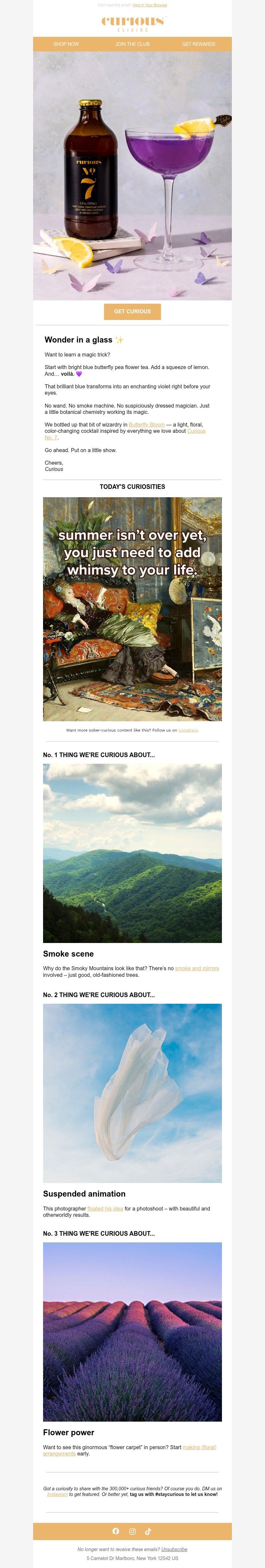Screenshot of email with subject /media/emails/3fe37241-2e0a-4020-80cd-5988d635cd23.jpg