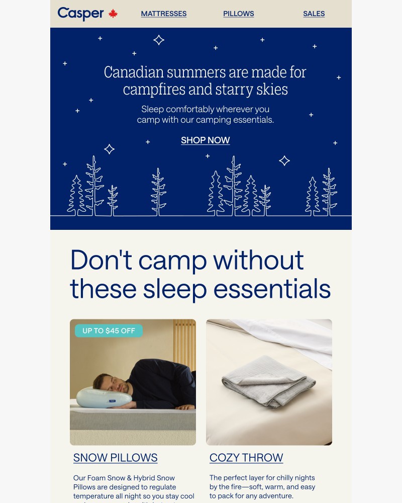 Screenshot of email with subject /media/emails/4-must-have-camping-essentials-cdf477-cropped-ef95d3f5.jpg