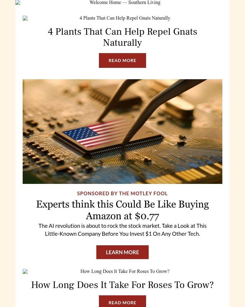 Screenshot of email with subject /media/emails/4-plants-that-can-help-repel-gnats-naturally-59168d-cropped-ab4bde40.jpg