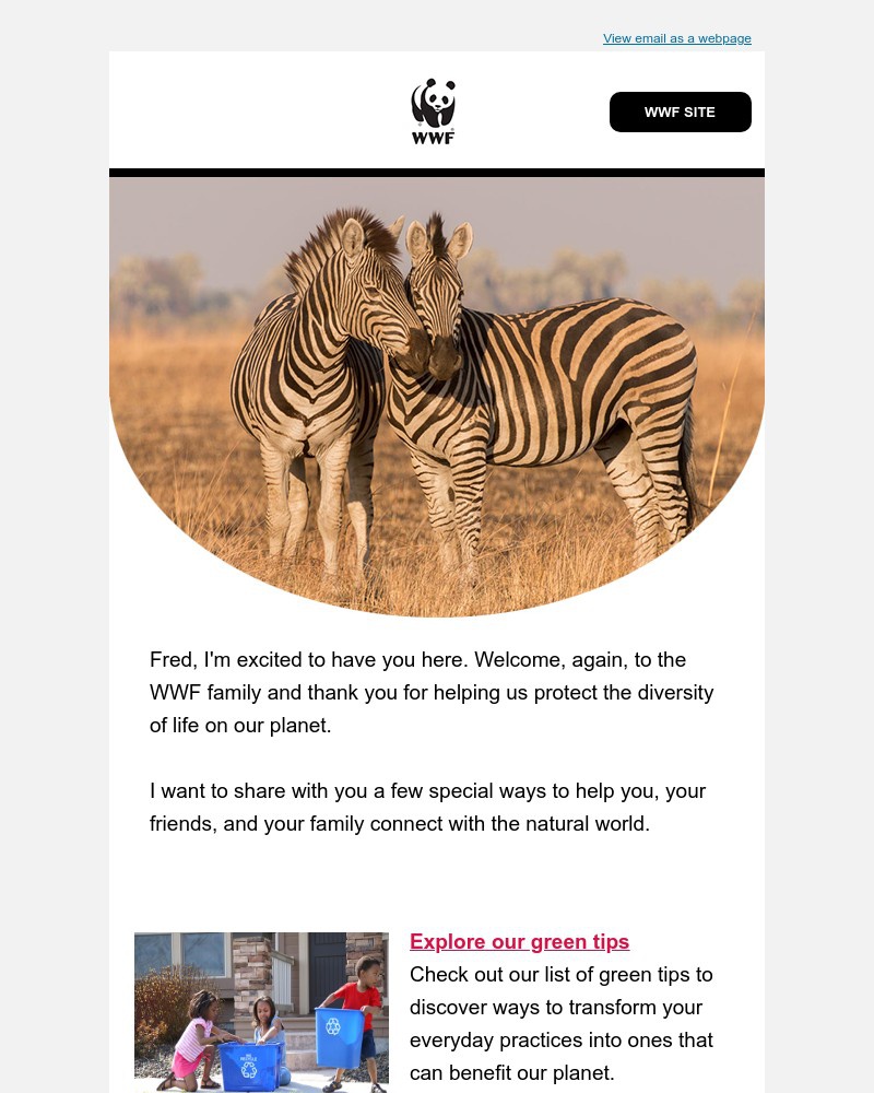 Screenshot of email with subject /media/emails/4-ways-to-connect-with-nature-e33981-cropped-23ed328b.jpg
