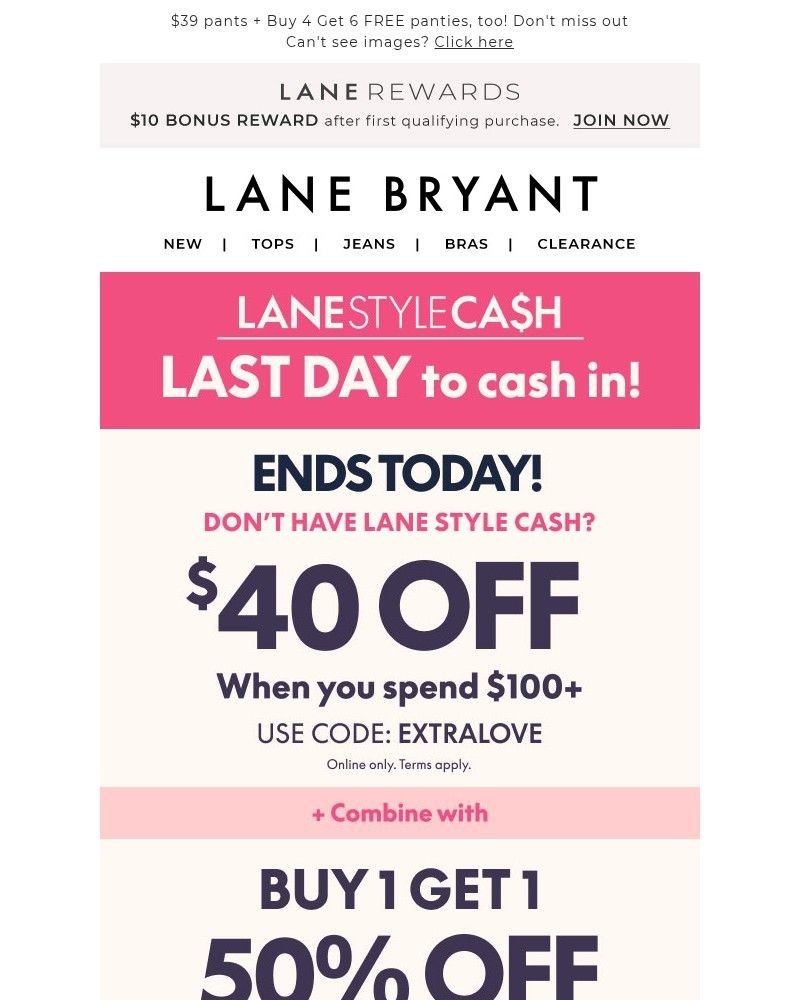 Screenshot of email sent to a Lane Bryant Newsletter subscriber
