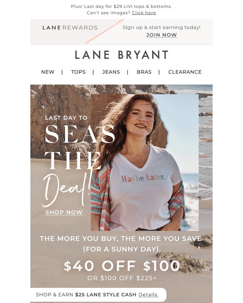 Screenshot of email with subject /media/emails/40-off-100-ends-today-so-come-sale-away-a392fa-cropped-964e8cd0.jpg