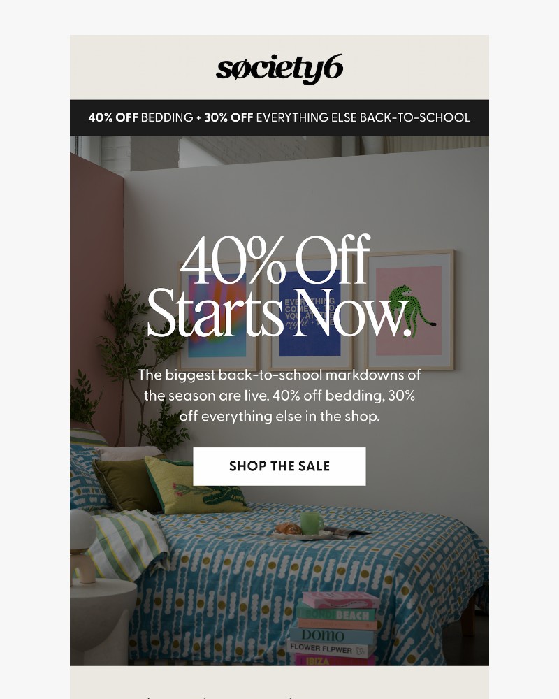 Screenshot of email sent to a Society6 Newsletter subscriber