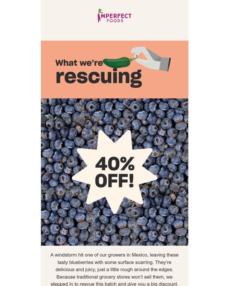 Screenshot of email sent to a Imperfect Foods Registered user