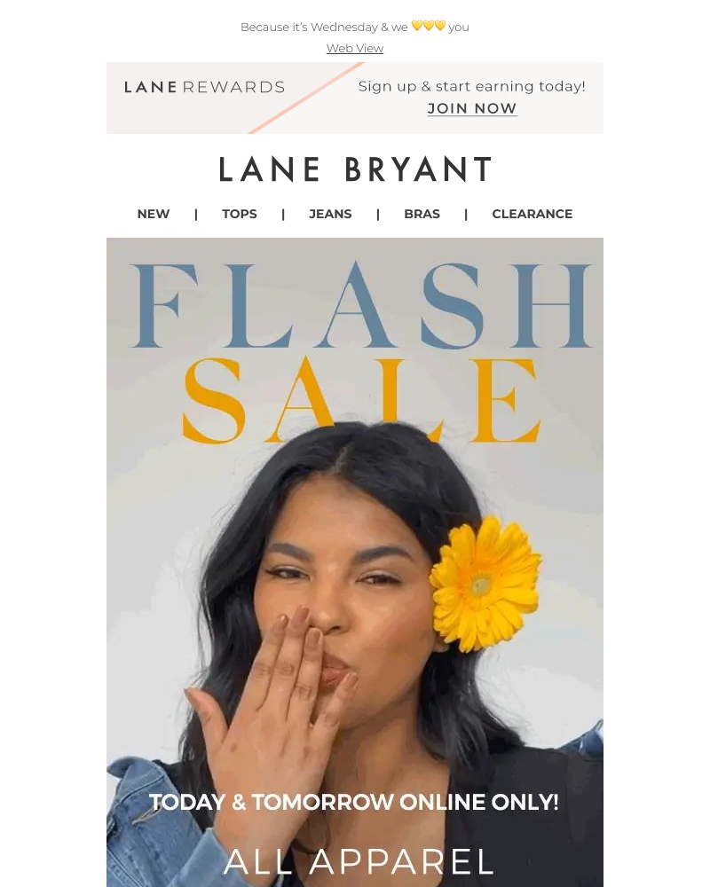 Screenshot of email with subject /media/emails/40-off-flash-sale-bccc57-cropped-0359dc47.jpg