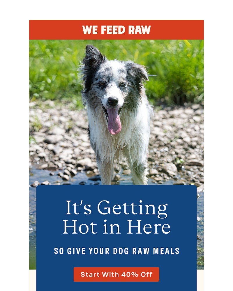 Screenshot of email with subject /media/emails/40-off-for-your-pups-kidneys-fdb5fd-cropped-9ae200f8.jpg