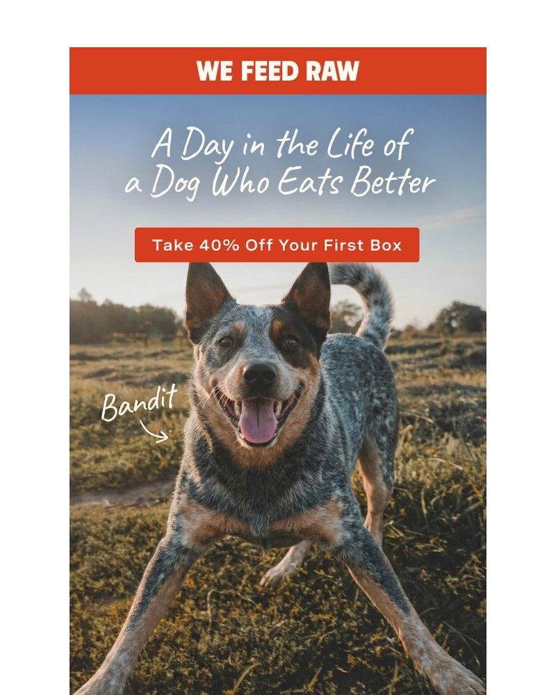 Screenshot of email with subject /media/emails/40-off-meals-your-dog-actually-finishes-c1ffed-cropped-e82dbdd8.jpg