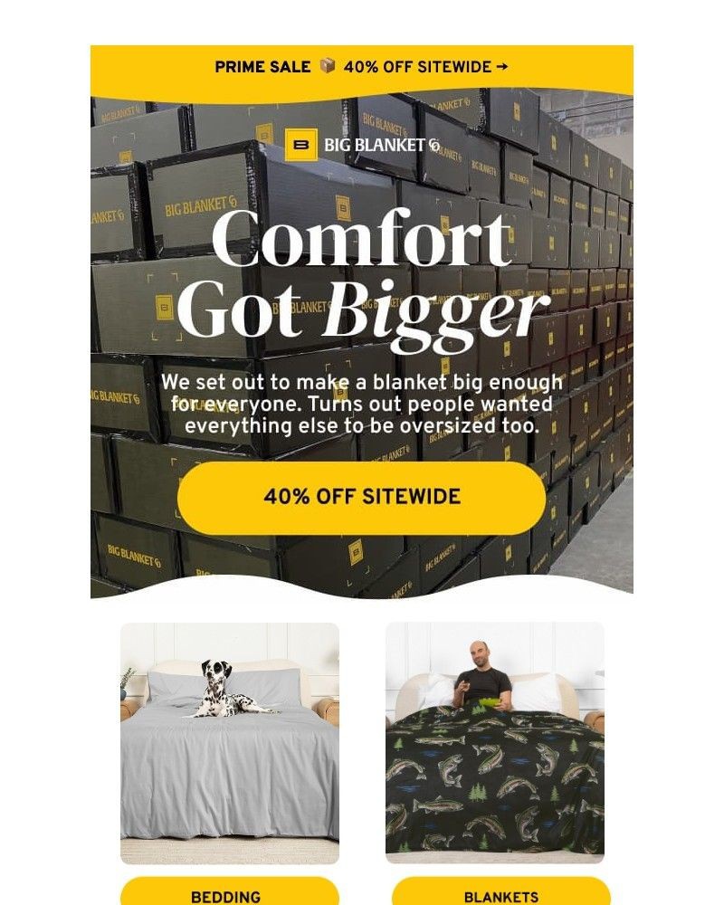 Screenshot of email sent to a Big Blanket Co. Newsletter subscriber