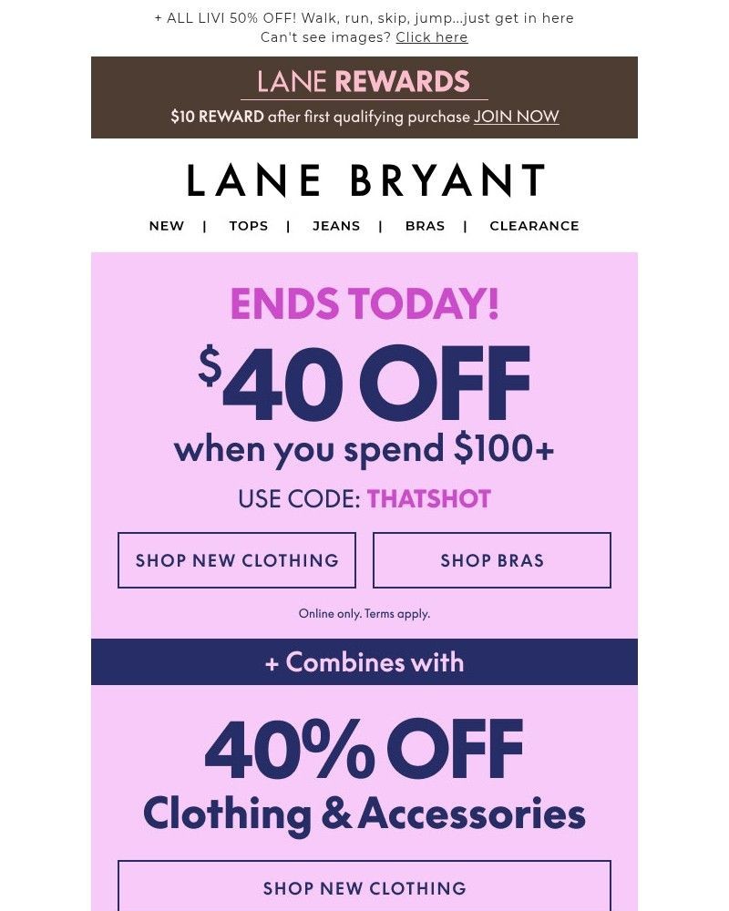 Screenshot of email with subject /media/emails/40-off-your-100-purchase-ends-today-8a1bd0-cropped-8daf95c8.jpg