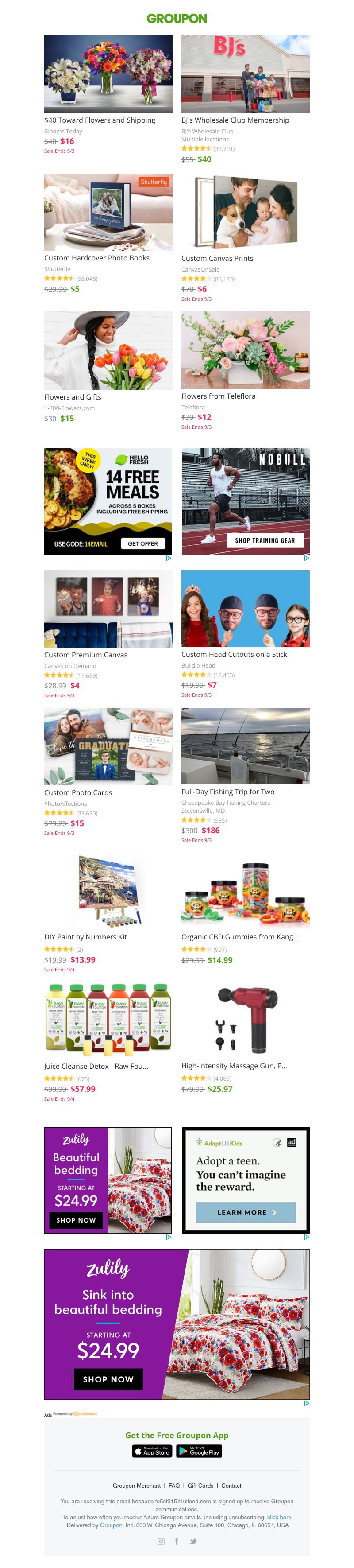 Screenshot of email with subject /media/emails/41160c04-d7bc-4c79-b804-543a416b815b.jpg