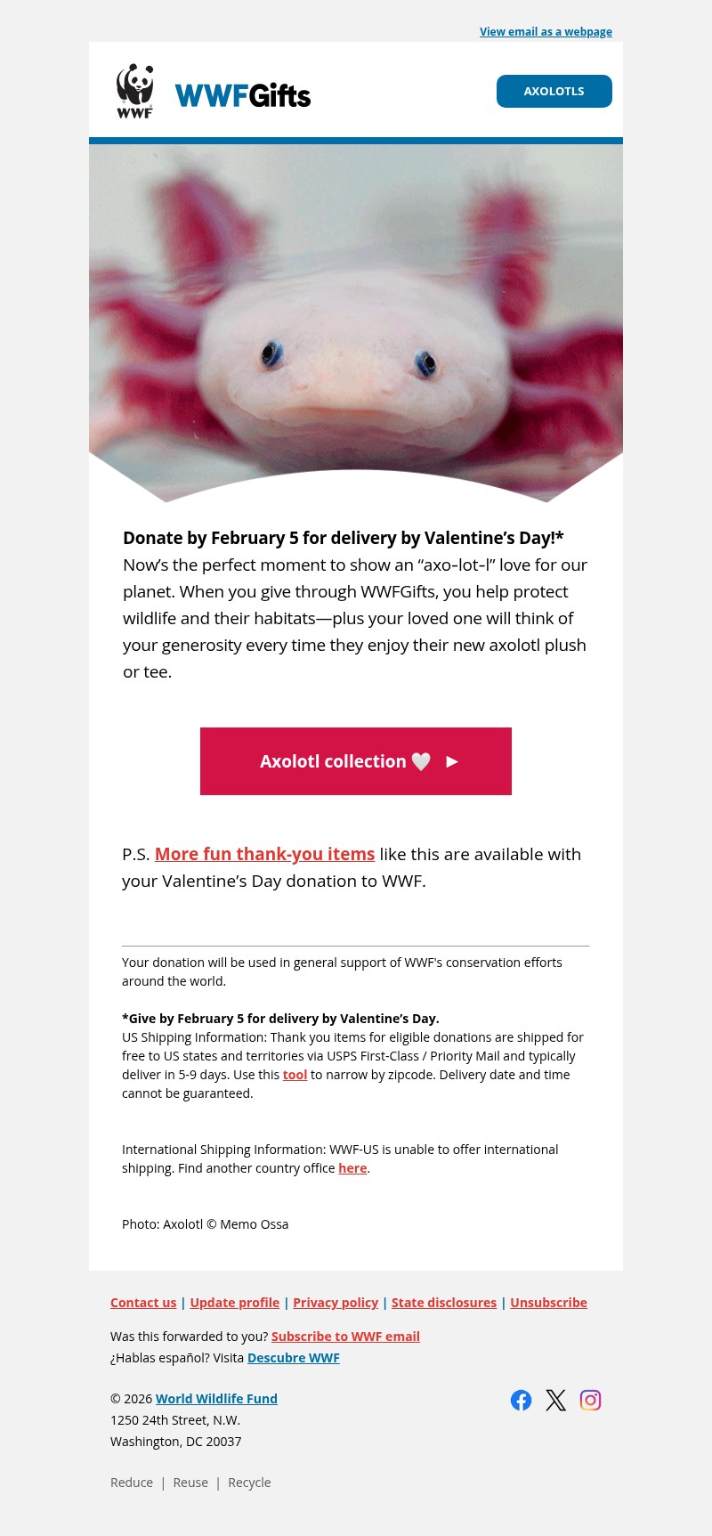 Screenshot of email with subject /media/emails/41327a9f-11ef-4c3c-981c-4ccbc077c131.jpg