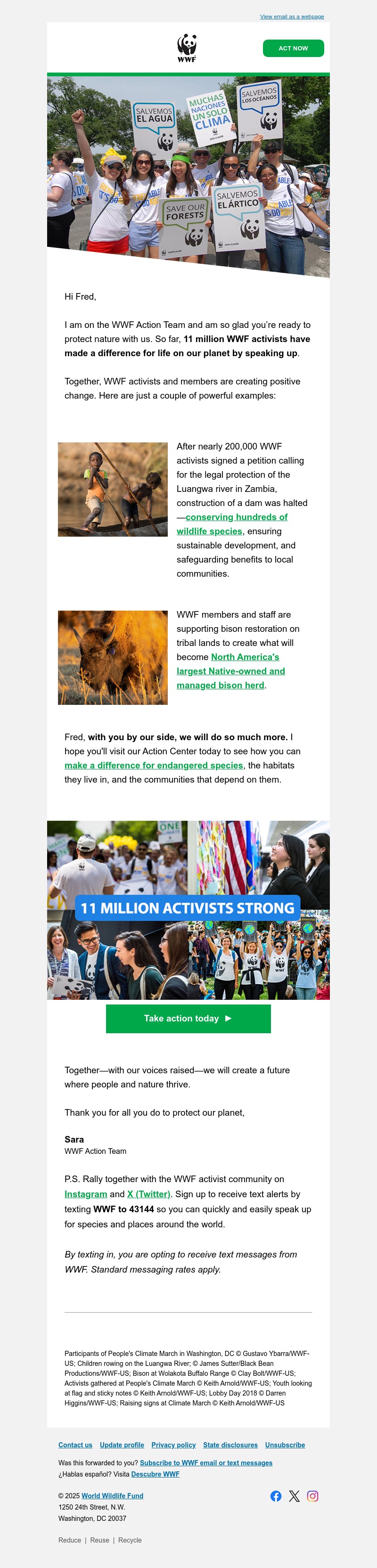 Screenshot of email with subject /media/emails/41ca4405-6a3b-4fc8-a465-f1e891aabf84.jpg