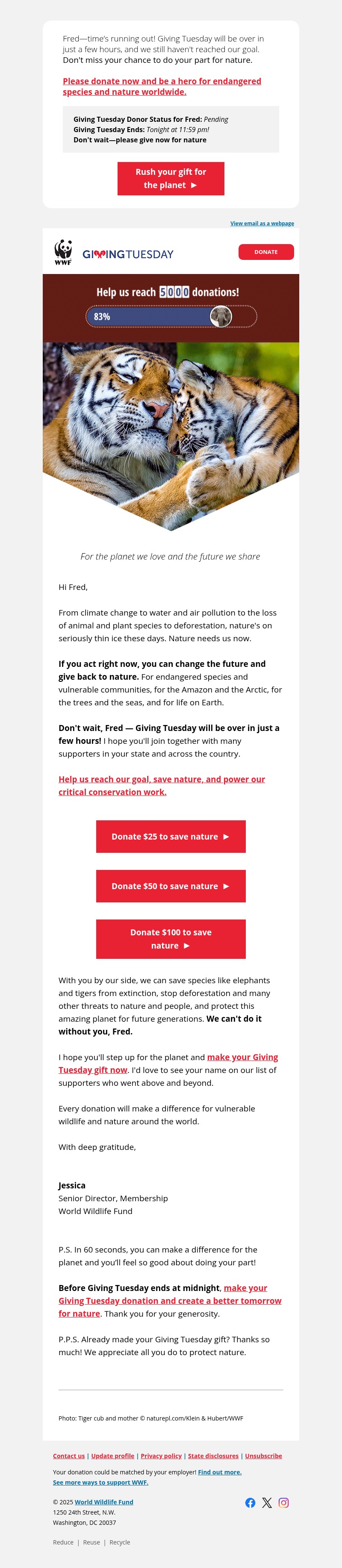 Screenshot of email with subject /media/emails/42c3747a-1af7-4a21-85e1-ef9db3911002.jpg