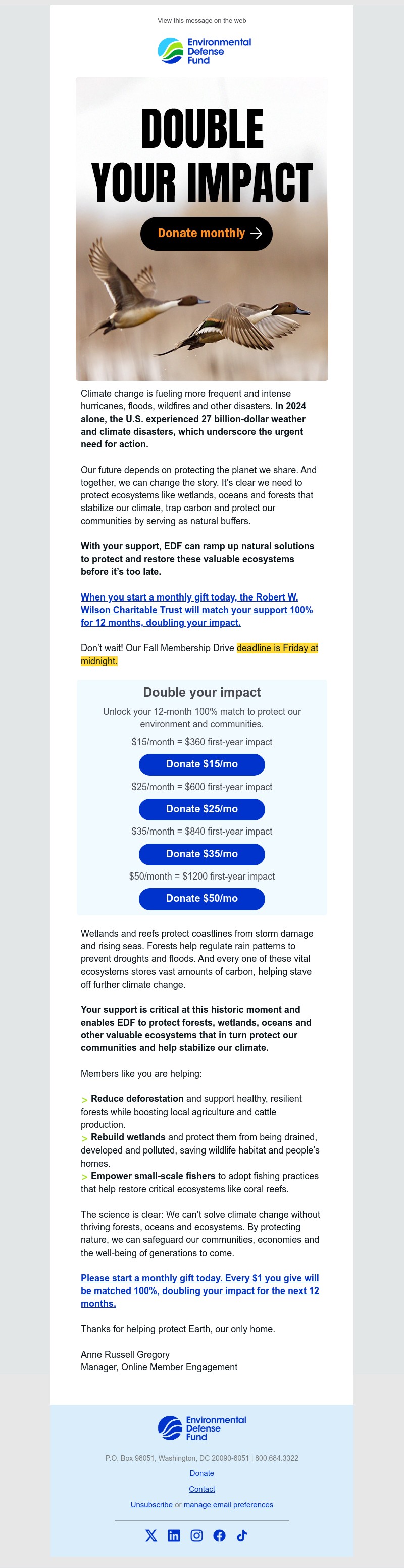 Screenshot of email with subject /media/emails/43574d35-693d-4c02-bc15-7b255d6139d2.jpg