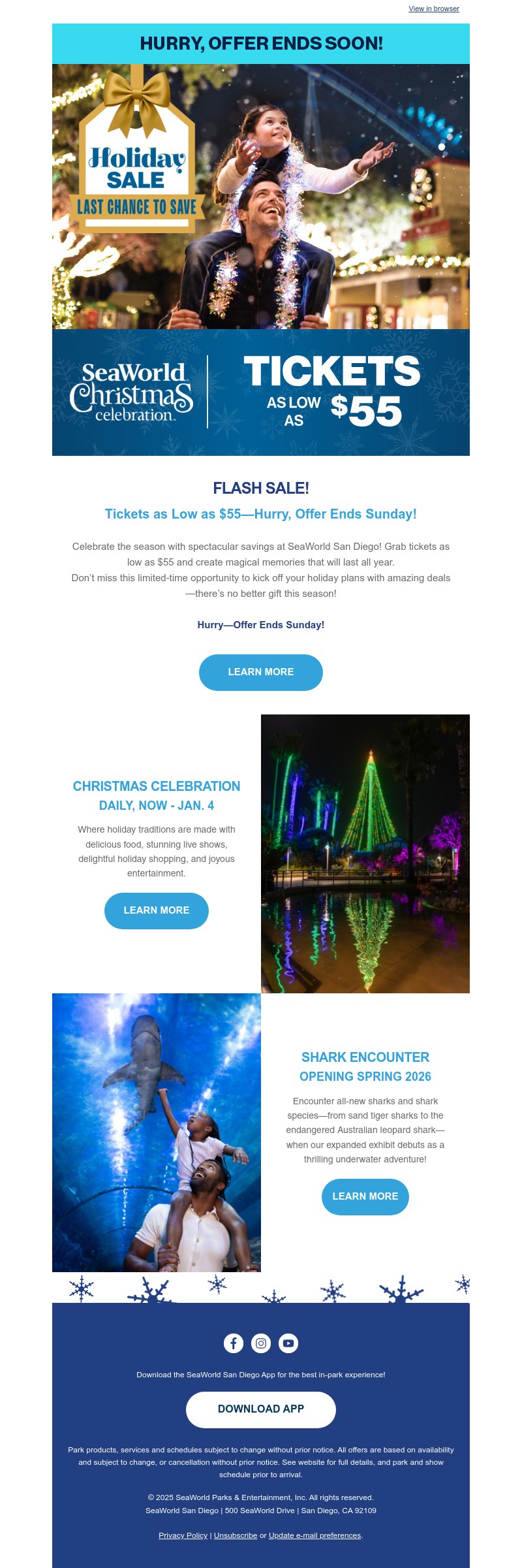 Screenshot of email with subject /media/emails/4386ff04-fc25-4f85-a550-295710701e21.jpg