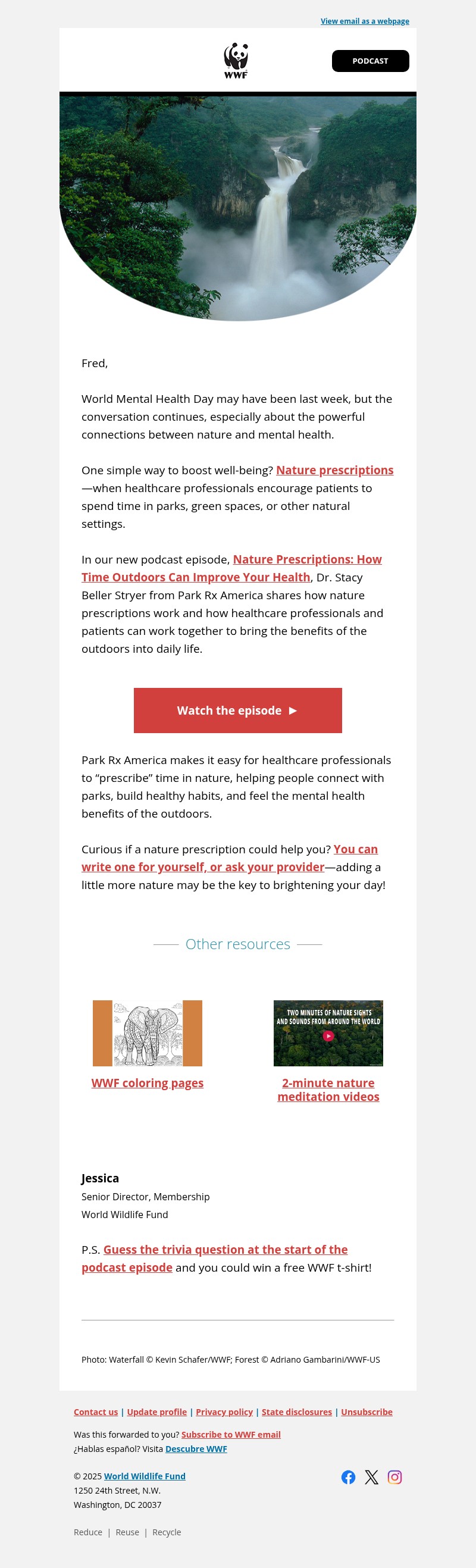 Screenshot of email with subject /media/emails/439308c2-28ab-4804-ab3e-d8cff06fbff8.jpg