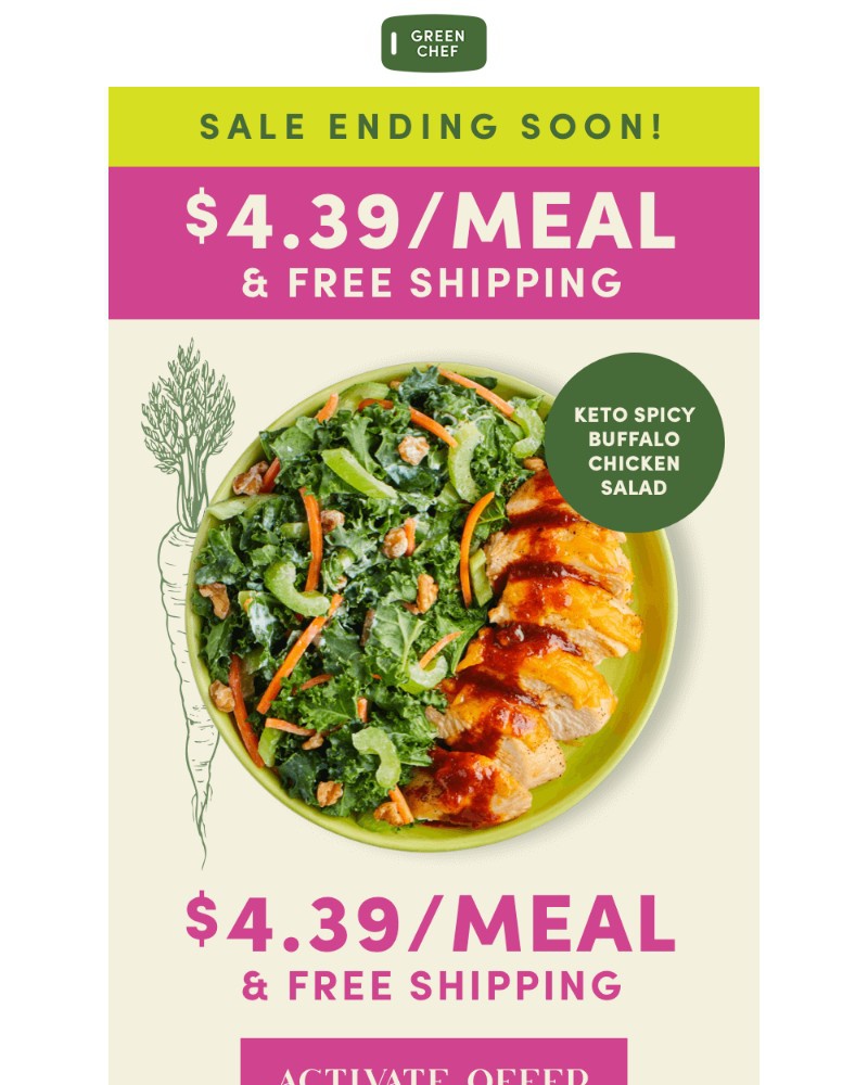 Screenshot of email with subject /media/emails/439meal-keto-mediterranean-veggie-options-4ac442-cropped-3574ebc6.jpg