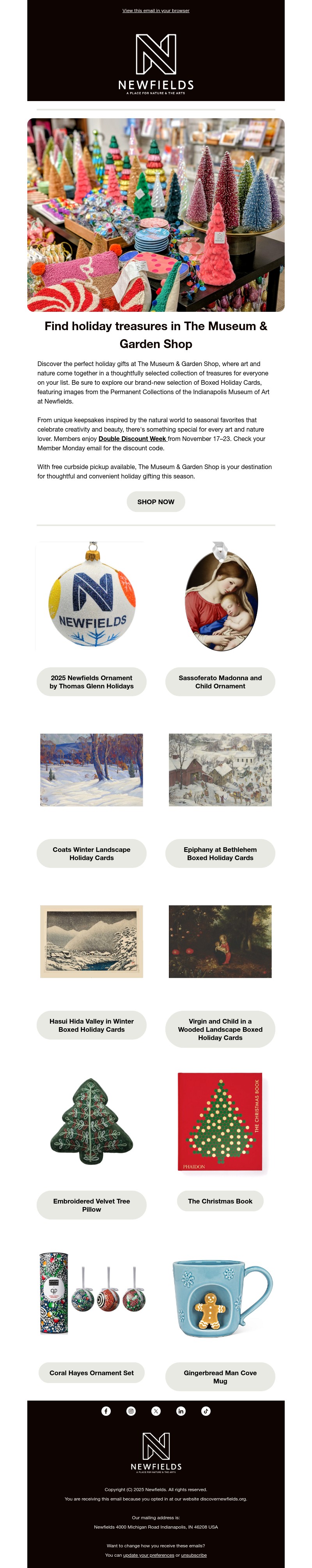 Screenshot of email with subject /media/emails/43fad3d3-85ce-4722-b00a-5c5da5f07688.jpg