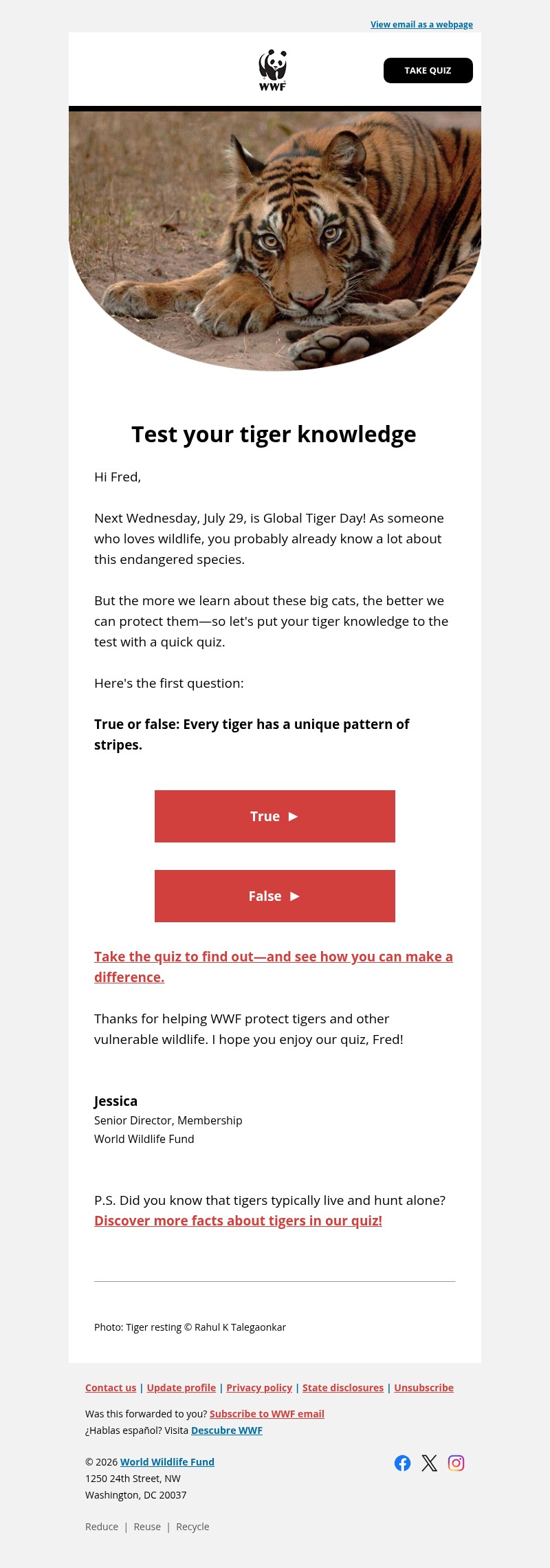 Screenshot of email with subject /media/emails/4461c4da-ec78-4b19-a7d0-0fdf784d6d97.jpg