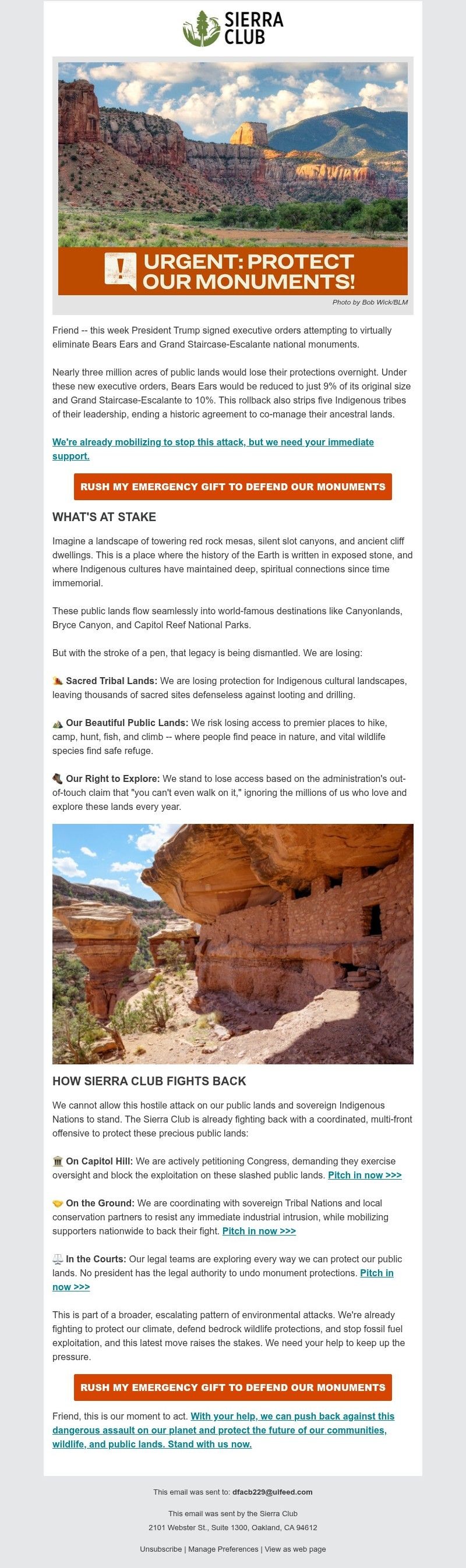 Screenshot of email with subject /media/emails/446cb87b-b6a2-4f0b-8c0d-67915b9baac6.jpg