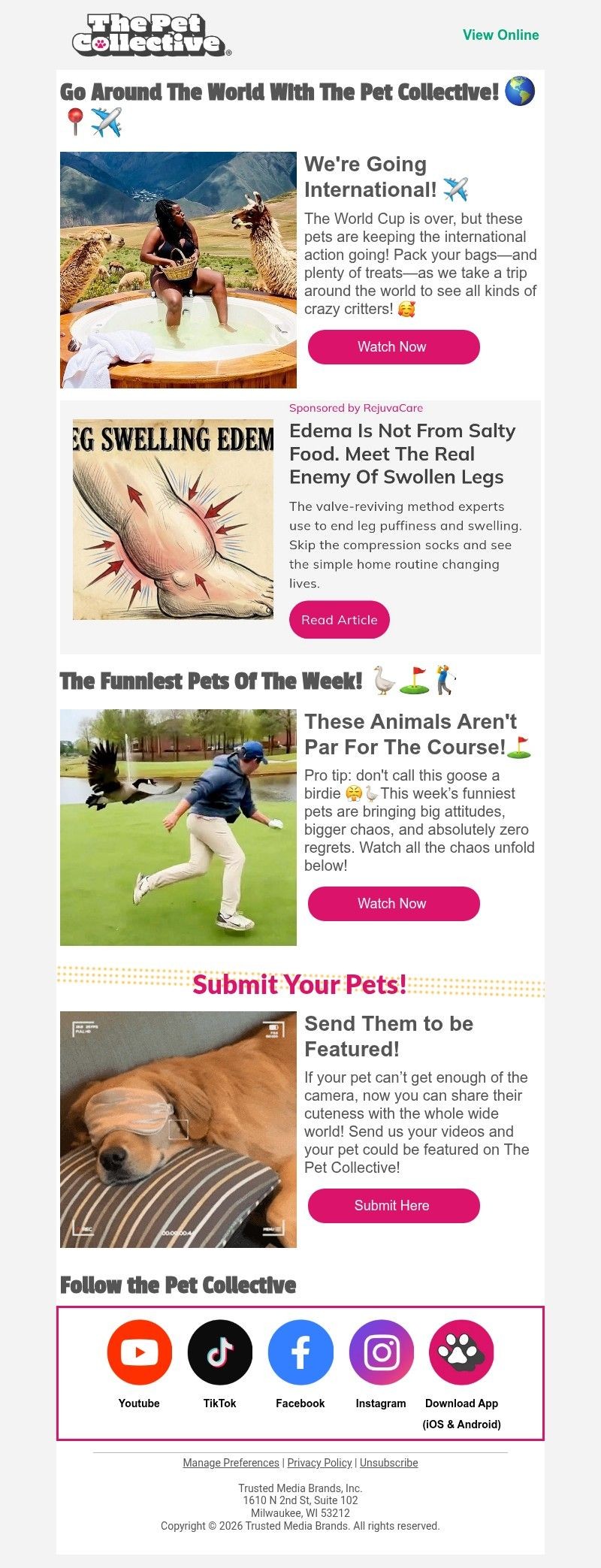 Screenshot of email with subject /media/emails/44a7a5b6-8fee-486d-b13e-40e2737ec635.jpg