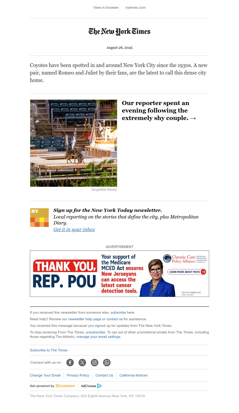 Screenshot of email with subject /media/emails/44c68be5-e236-4a51-834a-84d531fe1a23.jpg