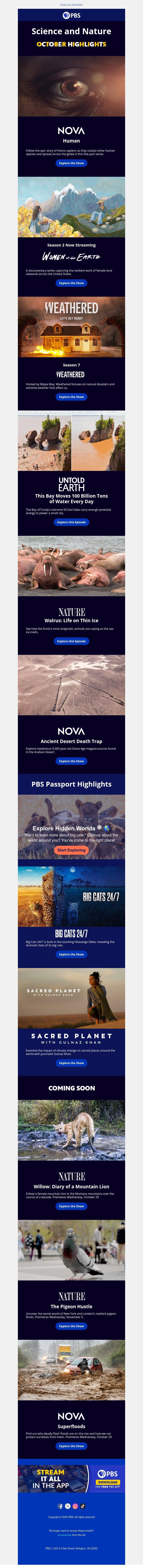 Screenshot of email with subject /media/emails/44fc86ca-3771-438e-9e1c-e752e11c2a4b.jpg