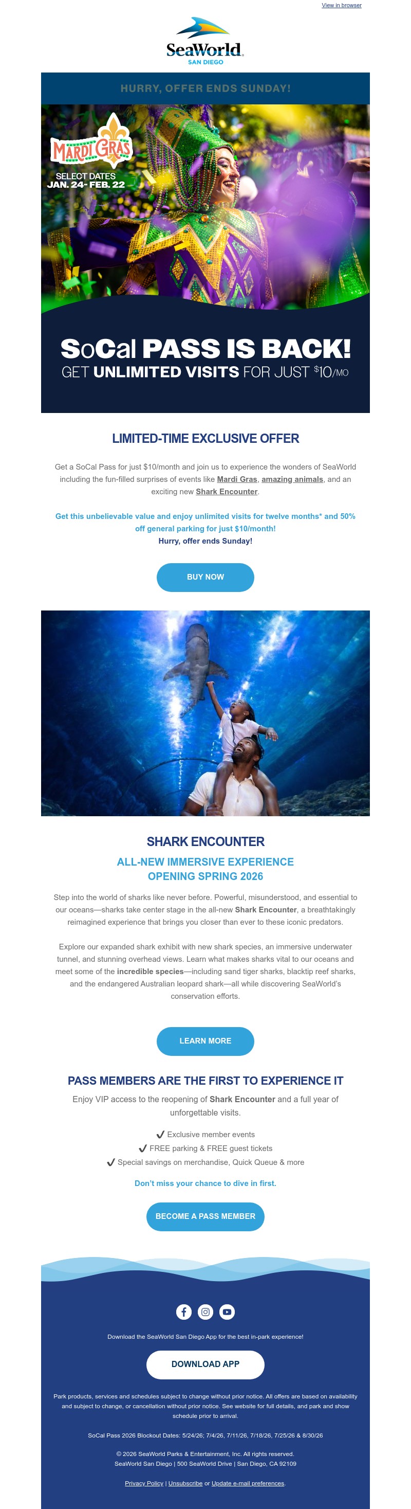 Screenshot of email with subject /media/emails/46c92e48-cedd-49a2-b537-1a070b9a8fe3.jpg