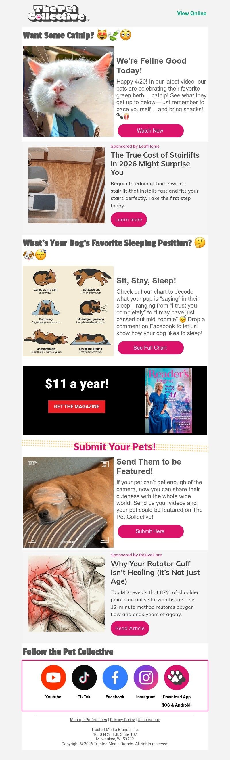 Screenshot of email with subject /media/emails/47e41924-61d6-4986-a599-e57bb2ee3818.jpg
