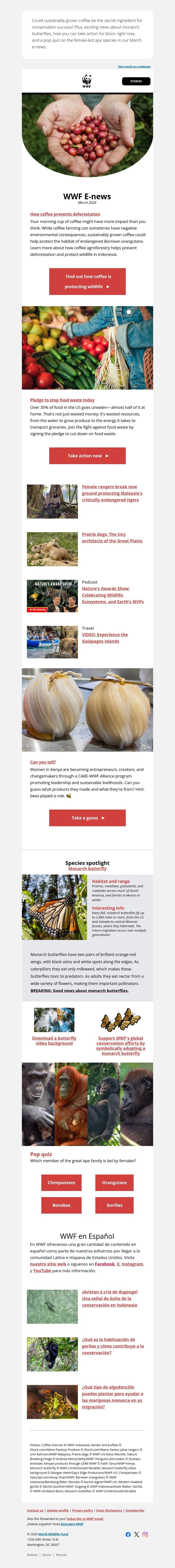 Screenshot of email with subject /media/emails/47f00336-2dfc-4e22-9918-50f85342c10a.jpg