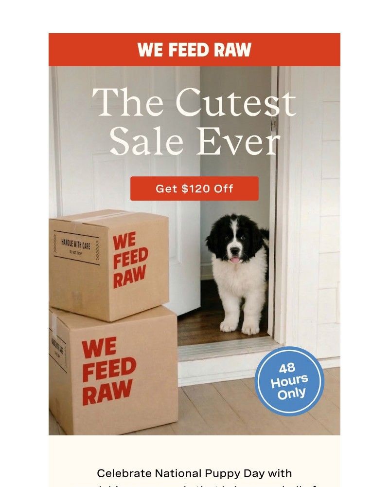 Screenshot of email with subject /media/emails/48-hour-flash-a91fc9-cropped-32dcf7de.jpg