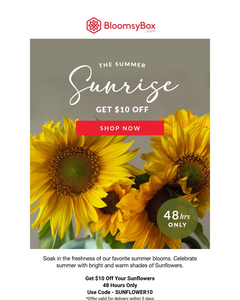 Screenshot of email with subject /media/emails/48-hour-flash-sale-1d8142-cropped-e9a26f51.jpg