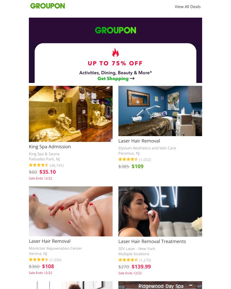 Screenshot of email with subject /media/emails/48-hour-sale-open-for-savings-8abc93-cropped-d195a5b7.jpg