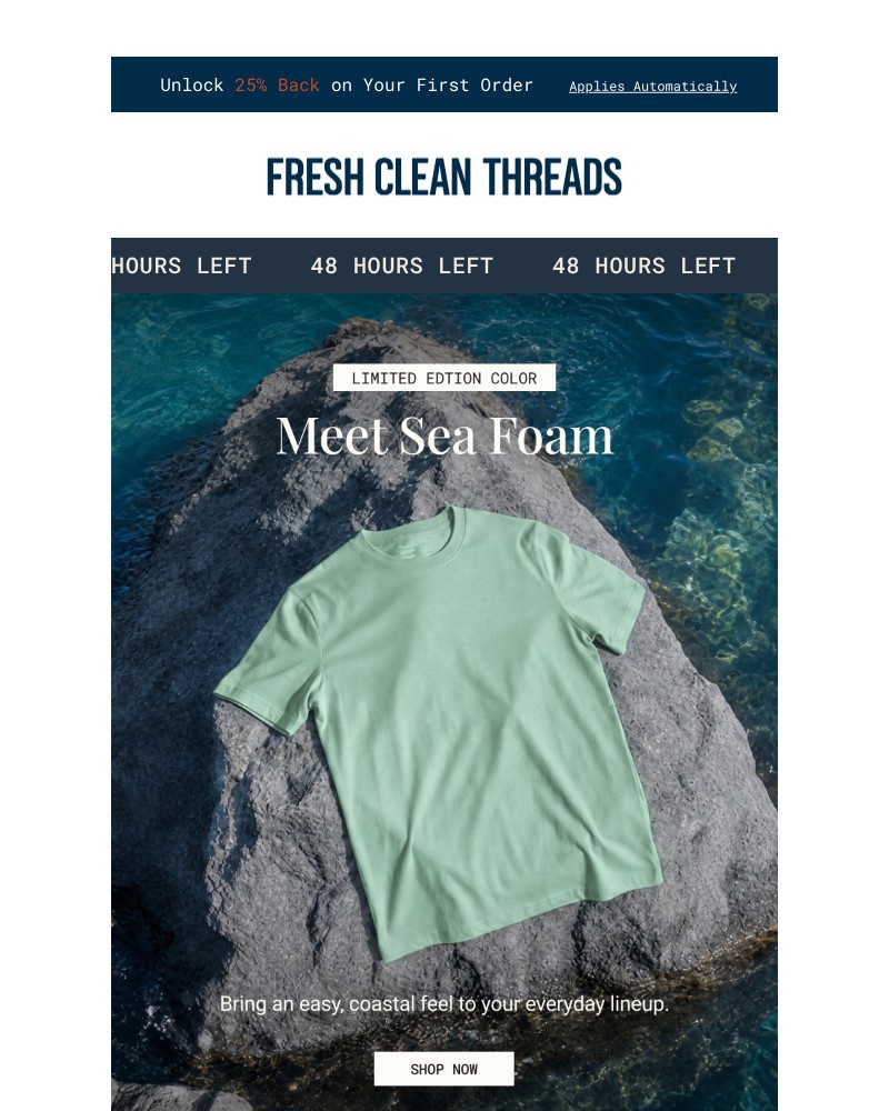 Screenshot of email with subject /media/emails/48-hours-left-sea-foam-tee-ff3bce-cropped-56cbd17c.jpg