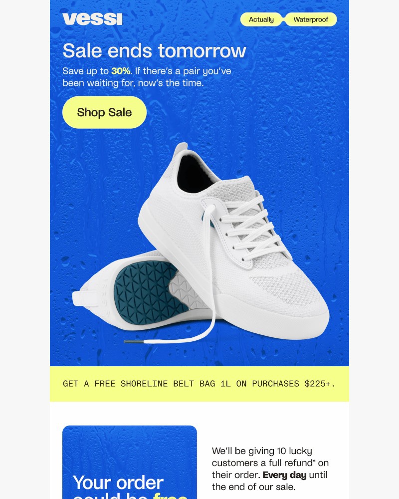 Screenshot of email sent to a Vessi Seller