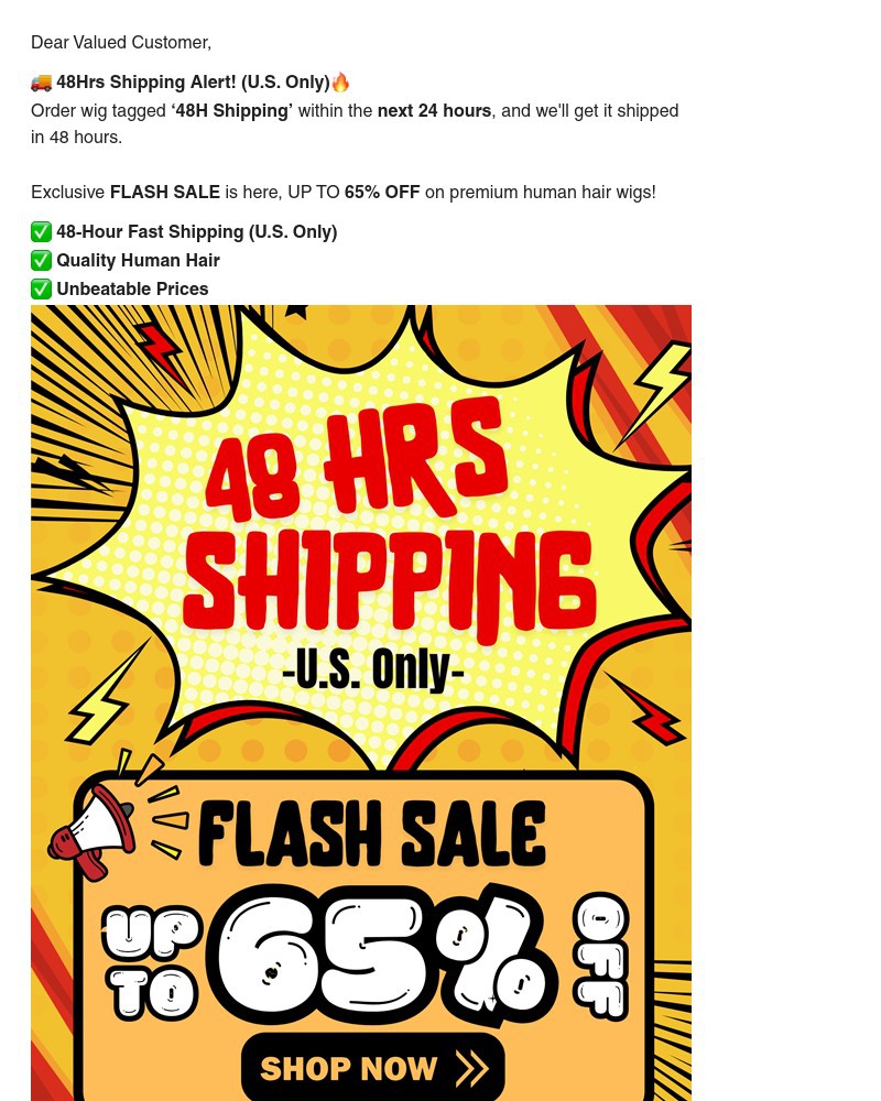 Screenshot of email with subject /media/emails/48-hrs-shipping-flash-saleup-to-65-off-at-the-same-quality-dont-miss-out-cb95ee-c_c3kWUQX.jpg