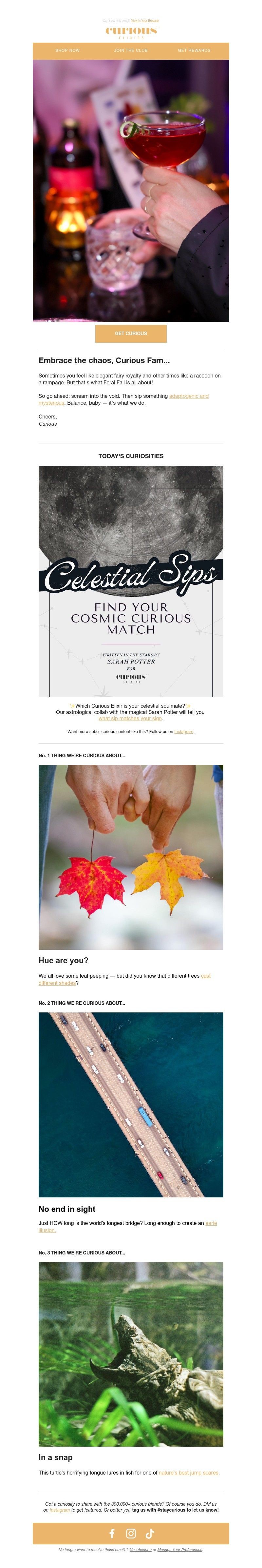 Screenshot of email with subject /media/emails/485bbdb7-fdff-44f5-97bc-4e743cf72bd4.jpg