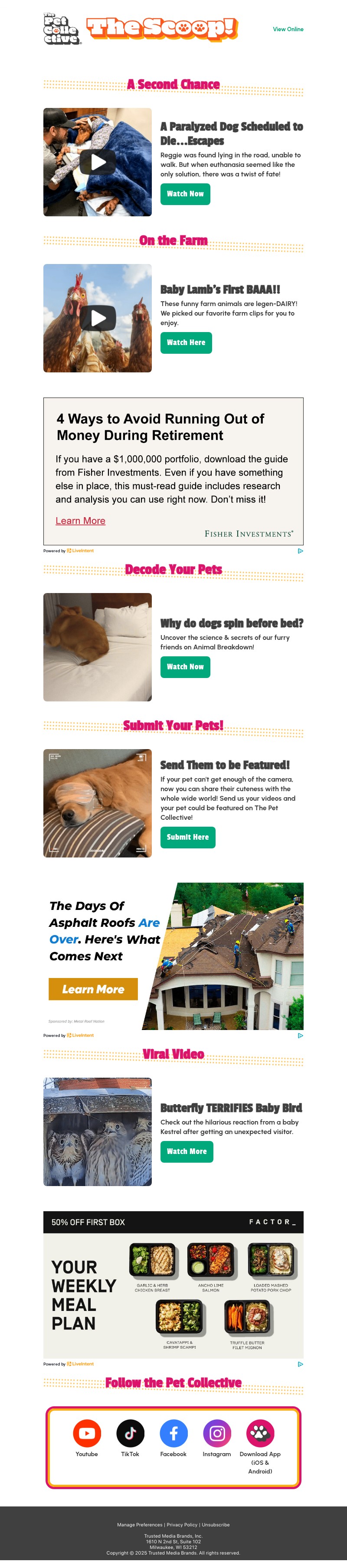 Screenshot of email with subject /media/emails/485fa21f-2f6d-4903-bb4a-b0ece7a3246e.jpg