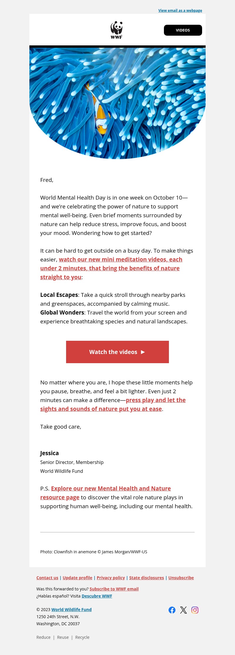Screenshot of email with subject /media/emails/4872b084-f157-4982-9fd0-5de74d1a39da.jpg