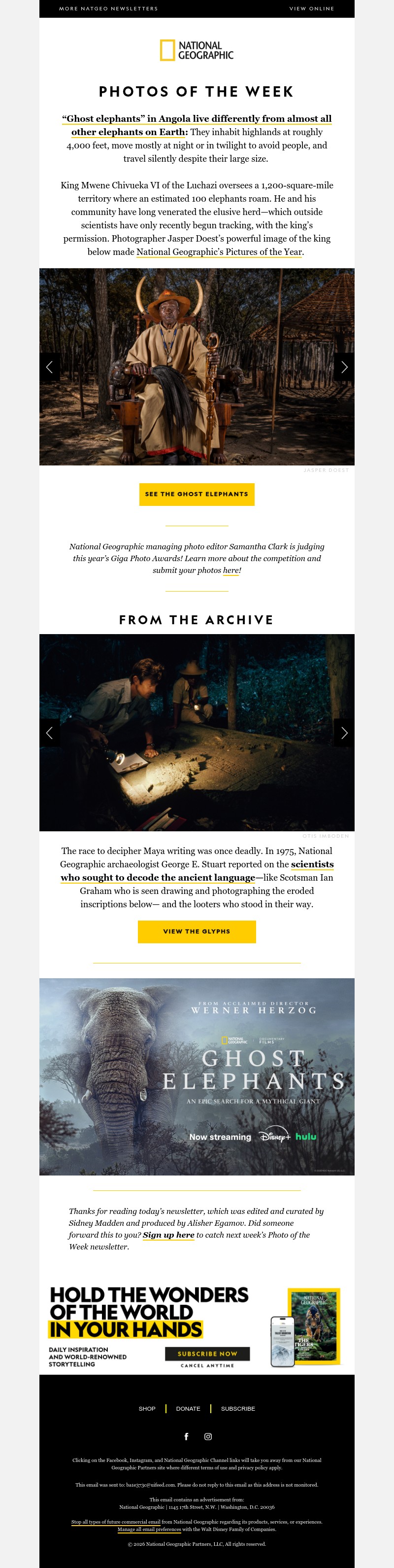 Screenshot of email with subject /media/emails/4a3242e8-75dd-4efd-b862-a670c635b3c6.jpg