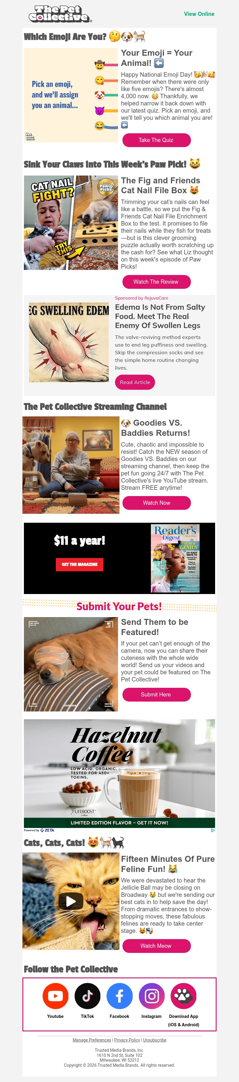 Screenshot of email with subject /media/emails/4a8190a1-fb27-401c-a6cc-1d8718133722.jpg