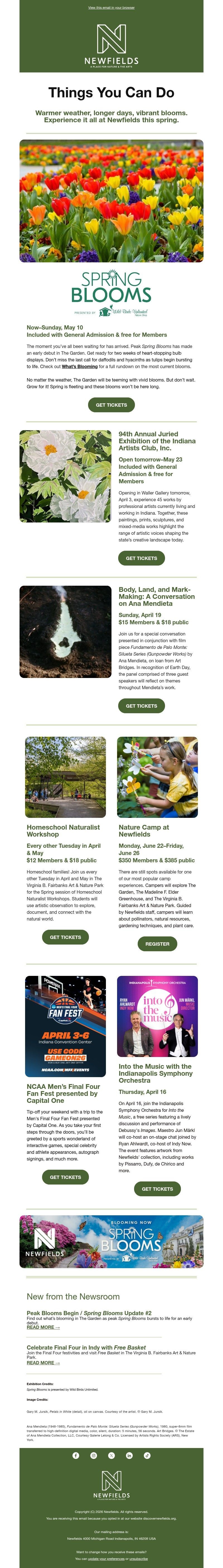 Screenshot of email with subject /media/emails/4ad77eee-6a13-4f6f-bcb8-fa217b275e31.jpg