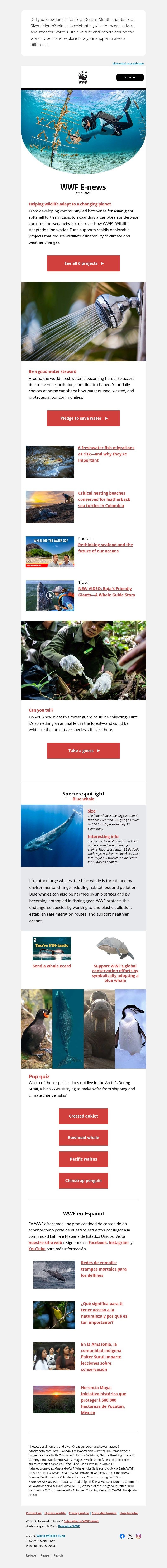 Screenshot of email with subject /media/emails/4b45053b-4cfe-4206-bc6a-05684760ab0a.jpg