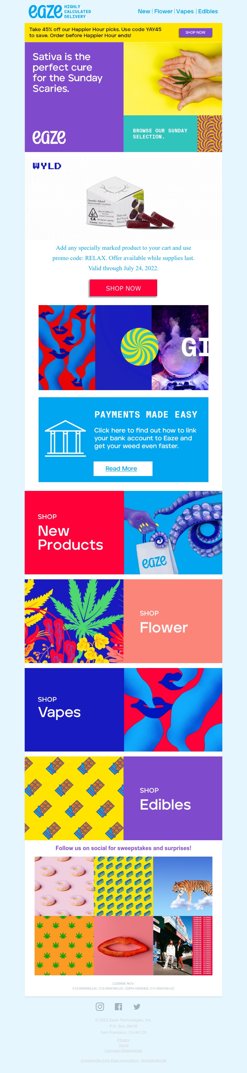 Screenshot of email with subject /media/emails/4b549730-ab26-4f60-9e26-b78b28f4e025.jpg