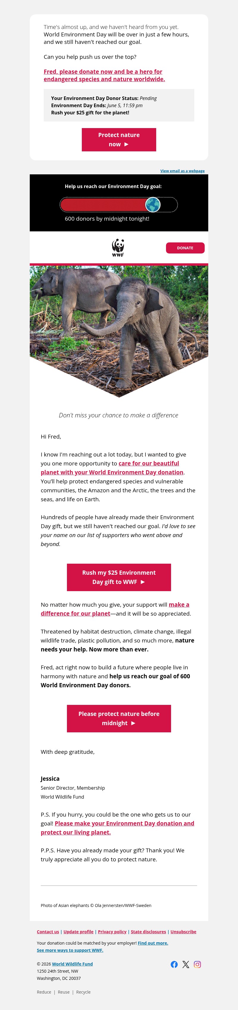 Screenshot of email with subject /media/emails/4c055f62-19bd-46ce-9e48-d6505540fd05.jpg