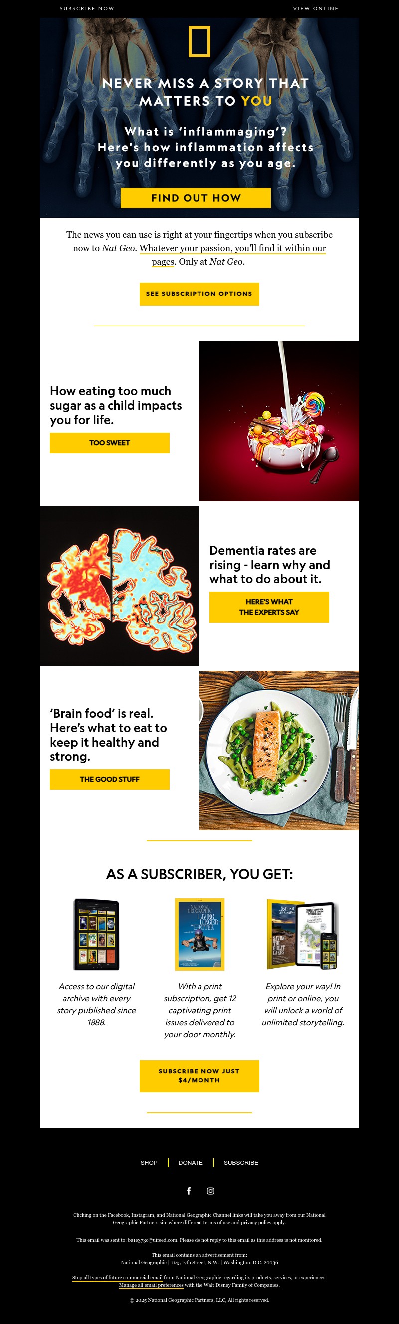 Screenshot of email with subject /media/emails/4cab7c81-dbb2-4a39-b491-e998dd5a53b0.jpg