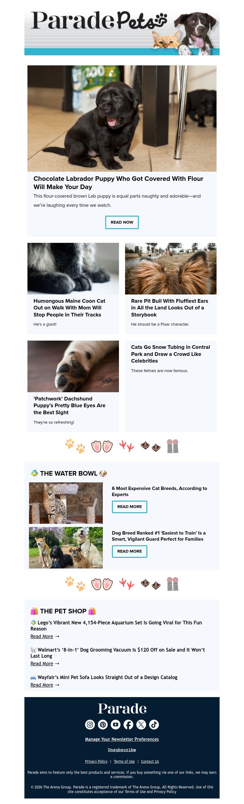 Screenshot of email with subject /media/emails/4ce68991-c240-4138-b3ce-db2179a9f30f.jpg