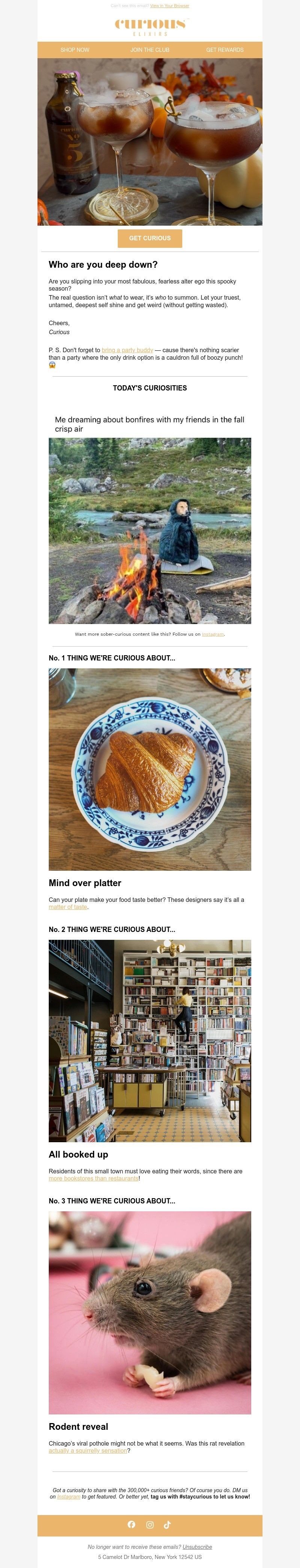 Screenshot of email with subject /media/emails/4d8391ee-2ef2-4115-8858-40333a947bd4.jpg