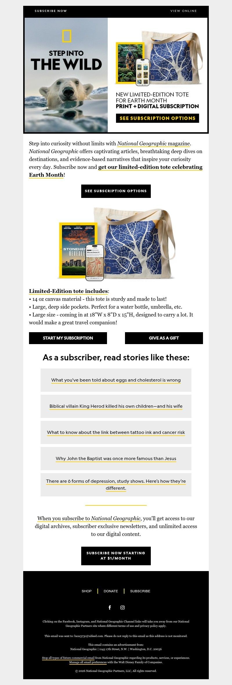 Screenshot of email with subject /media/emails/4d98a3f0-73c2-4e10-833a-9e5895fe76a2.jpg