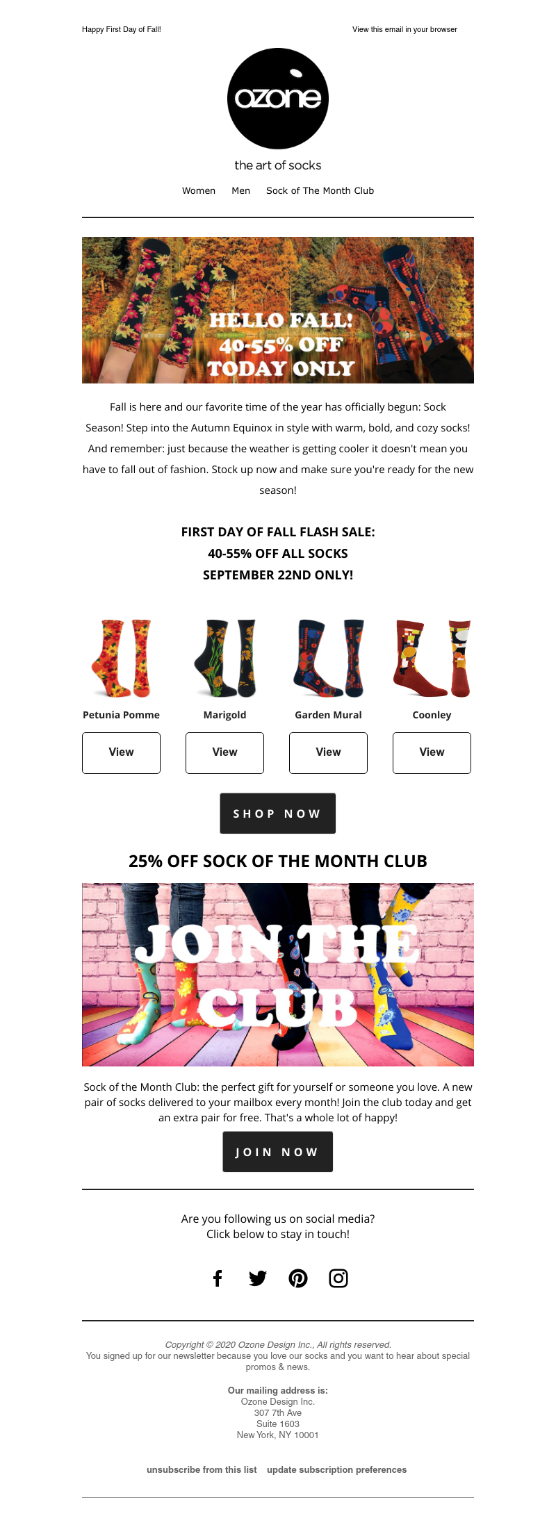 Screenshot of email with subject /media/emails/4da15290-3b5d-42a0-a30a-80f7aae1187d.png